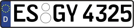 ES-GY4325
