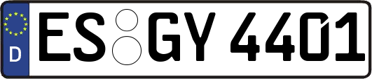 ES-GY4401