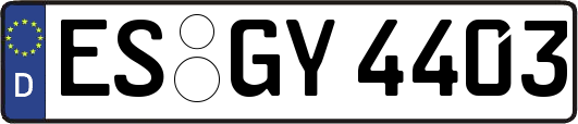 ES-GY4403