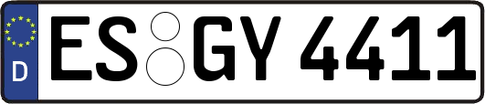 ES-GY4411