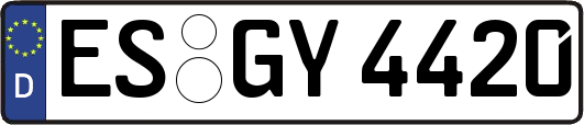 ES-GY4420