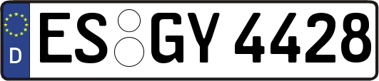 ES-GY4428