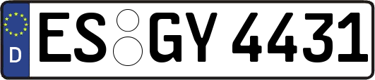 ES-GY4431