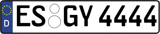 ES-GY4444