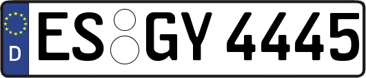 ES-GY4445