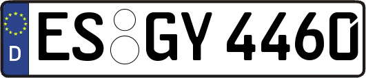 ES-GY4460