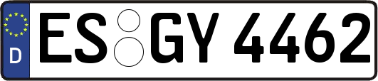 ES-GY4462