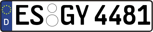 ES-GY4481