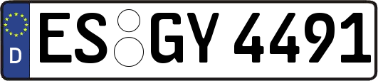 ES-GY4491