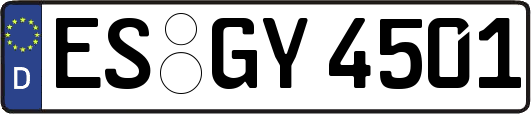 ES-GY4501