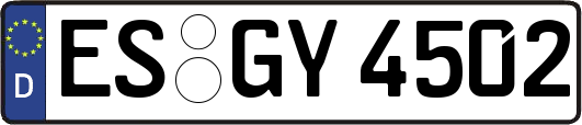 ES-GY4502