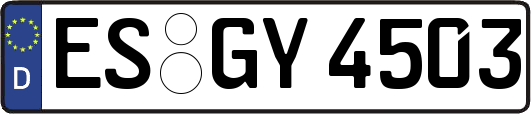 ES-GY4503