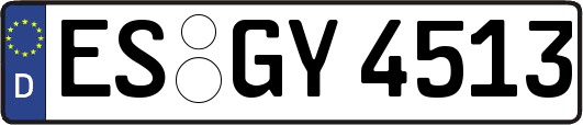 ES-GY4513