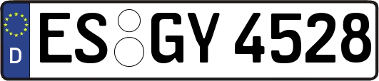 ES-GY4528