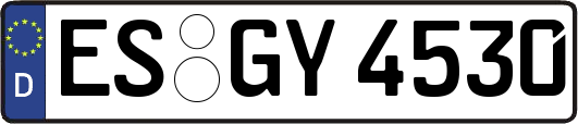 ES-GY4530