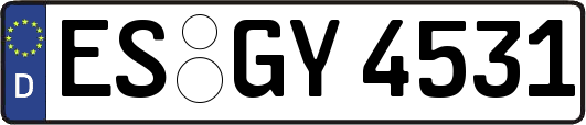 ES-GY4531