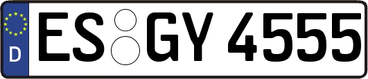 ES-GY4555