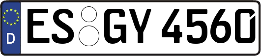 ES-GY4560
