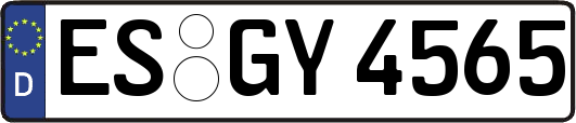 ES-GY4565