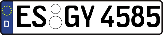 ES-GY4585