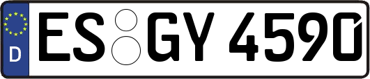 ES-GY4590