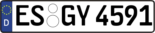 ES-GY4591