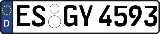 ES-GY4593