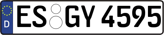 ES-GY4595