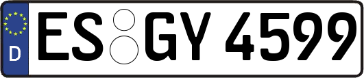 ES-GY4599