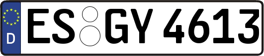 ES-GY4613