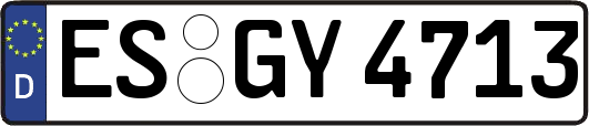 ES-GY4713