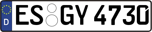 ES-GY4730