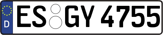 ES-GY4755