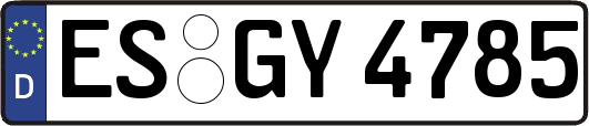 ES-GY4785