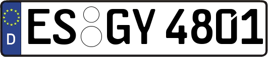 ES-GY4801