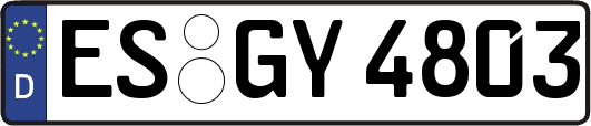 ES-GY4803