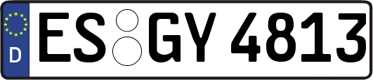 ES-GY4813