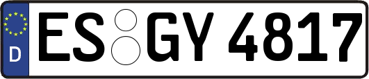 ES-GY4817