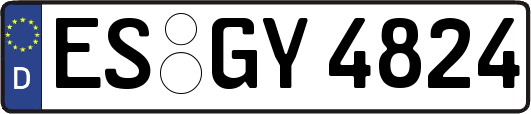 ES-GY4824