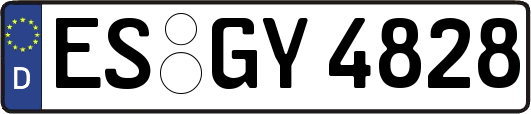 ES-GY4828