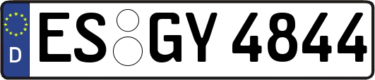 ES-GY4844