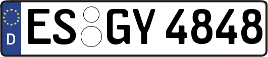 ES-GY4848