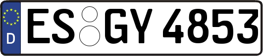 ES-GY4853