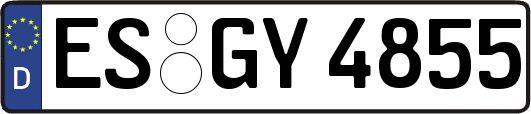 ES-GY4855