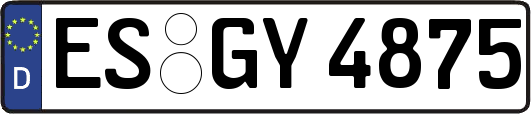 ES-GY4875
