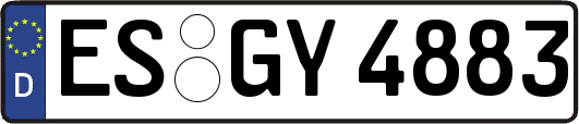 ES-GY4883