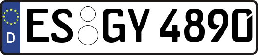 ES-GY4890