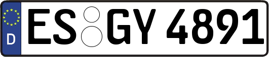 ES-GY4891