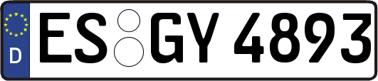 ES-GY4893