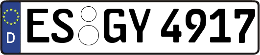 ES-GY4917
